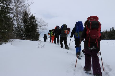 Photo from Snowshoeing, Bruce Peninsula National Park, 1.0