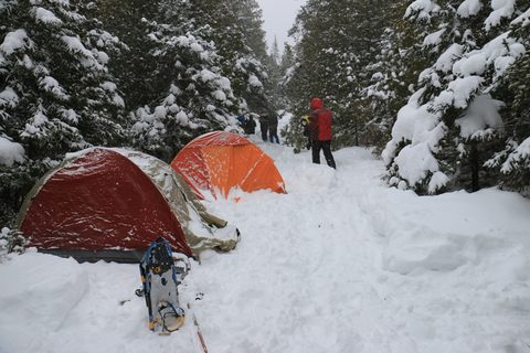 Photo from Snowshoeing, Bruce Peninsula National Park, 1.0