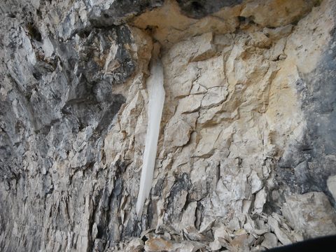 Photo from Snowshoeing, Bruce Peninsula National Park, 1.0