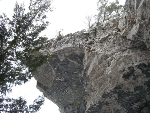 Photo from Snowshoeing, Bruce Peninsula National Park, 1.0
