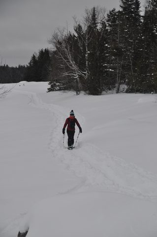 Photo from Snowshoeing, Bruce Peninsula National Park, 1.0