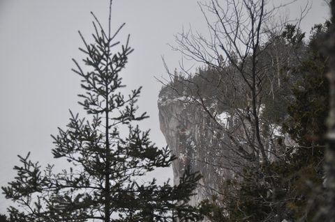 Photo from Snowshoeing, Bruce Peninsula National Park, 1.0