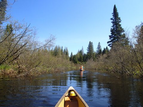Photo from Canoeing, Across Algonquin Park, 10 days, access #2 to #20