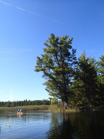 Photo from Canoeing, Across Algonquin Park, 10 days, access #2 to #20