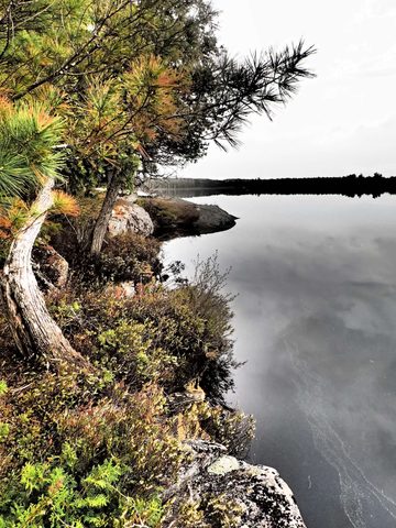 Photo from Canoeing, Across Algonquin Park, 10 days, access #2 to #20