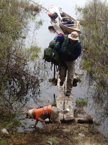 Photo from Canoeing, Across Algonquin Park, 10 days, access #2 to #20