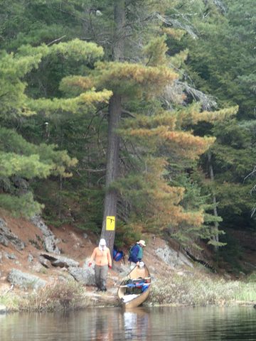 Photo from Canoeing, Across Algonquin Park, 10 days, access #2 to #20