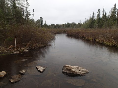 Photo from Canoeing, Across Algonquin Park, 10 days, access #2 to #20