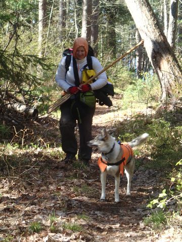 Photo from Canoeing, Across Algonquin Park, 10 days, access #2 to #20