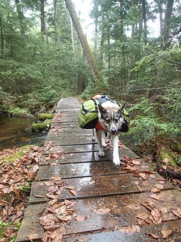 Photo from Canoeing, Across Algonquin Park, 10 days, access #2 to #20