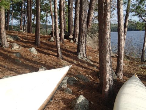 Photo from Canoeing, Across Algonquin Park, 10 days, access #2 to #20