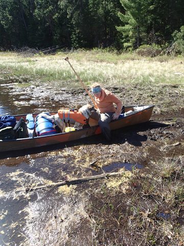 Photo from Canoeing, Across Algonquin Park, 10 days, access #2 to #20