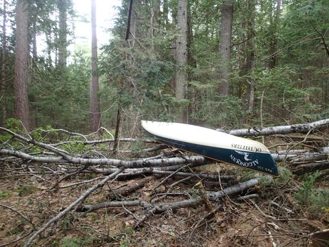 Photo from Canoeing, Across Algonquin Park, 10 days, access #2 to #20