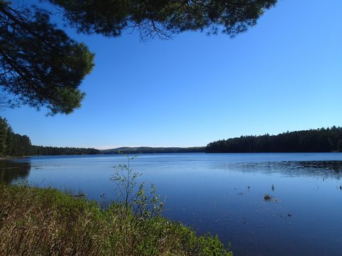 Photo from Canoeing, Across Algonquin Park, 10 days, access #2 to #20