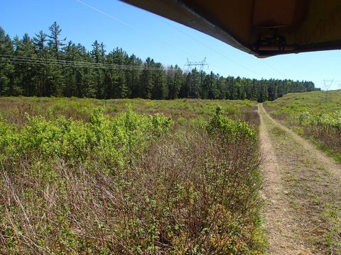 Photo from Canoeing, Across Algonquin Park, 10 days, access #2 to #20