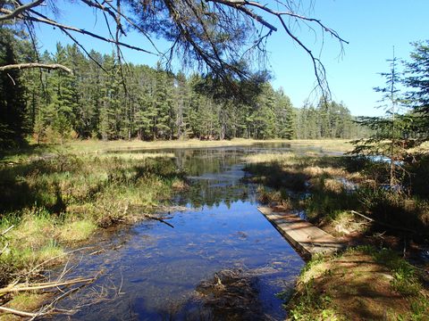 Photo from Canoeing, Across Algonquin Park, 10 days, access #2 to #20