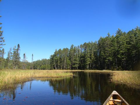 Photo from Canoeing, Across Algonquin Park, 10 days, access #2 to #20