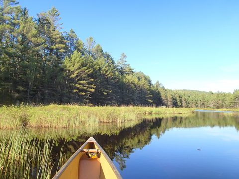Photo from Canoeing, Across Algonquin Park, 10 days, access #2 to #20