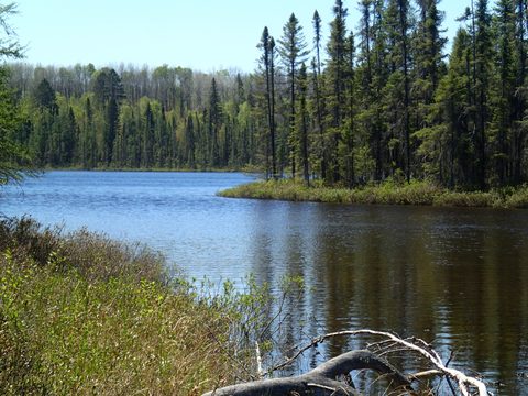 Photo from Canoeing, Across Algonquin Park, 10 days, access #2 to #20