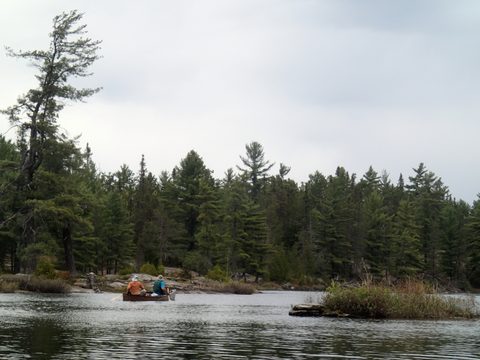 Photo from Canoeing, Across Algonquin Park, 10 days, access #2 to #20