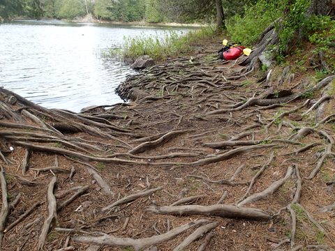 Photo from Canoeing, Across Algonquin Park, 10 days, access #2 to #20