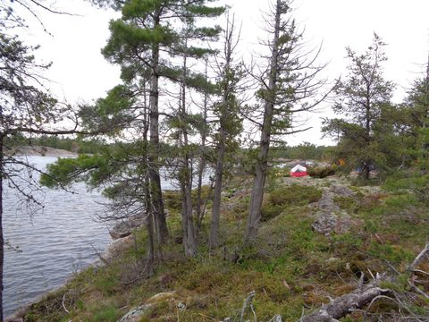 Photo from Kayaking, French River Voyageur Channel to Georgian Bay