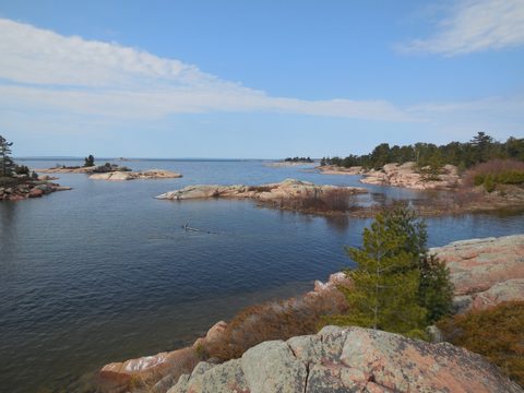 Photo from Friends of Killarney Spring Cleanup