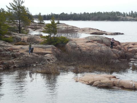 Photo from Friends of Killarney Spring Cleanup