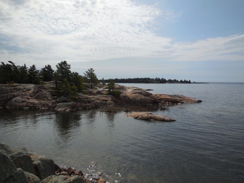 Photo from Friends of Killarney Spring Cleanup