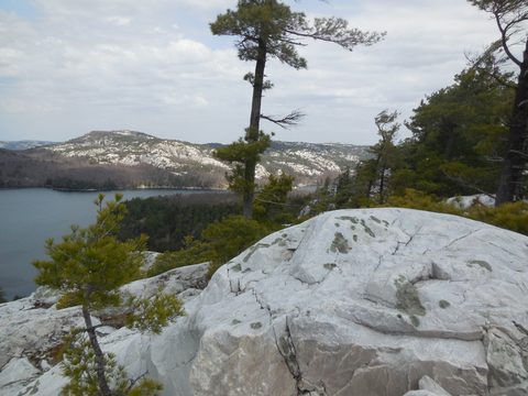 Photo from Friends of Killarney Spring Cleanup
