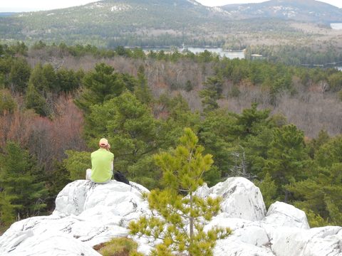 Photo from Friends of Killarney Spring Cleanup