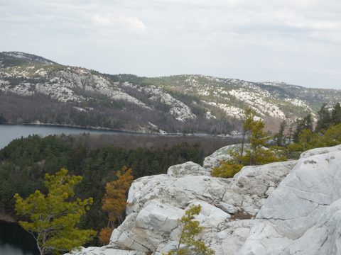 Photo from Friends of Killarney Spring Cleanup