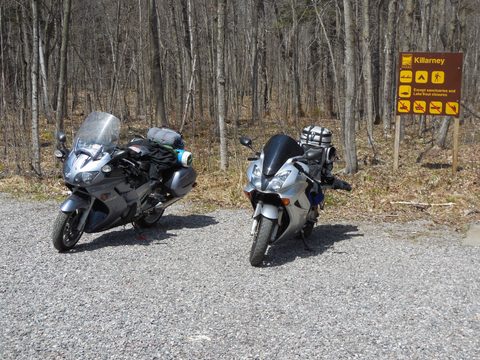Photo from Friends of Killarney Spring Cleanup