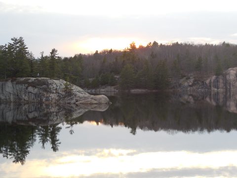 Photo from Friends of Killarney Spring Cleanup
