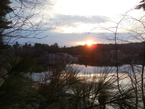 Photo from Friends of Killarney Spring Cleanup