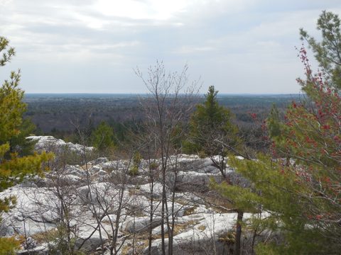 Photo from Friends of Killarney Spring Cleanup