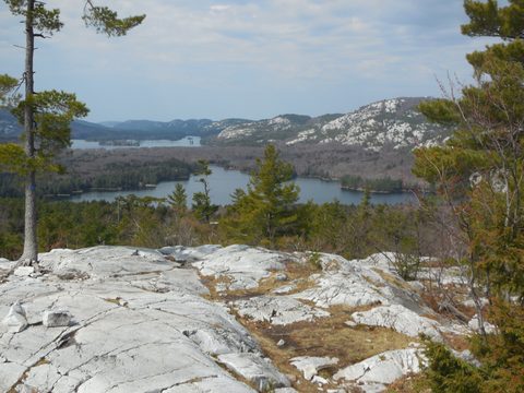 Photo from Friends of Killarney Spring Cleanup