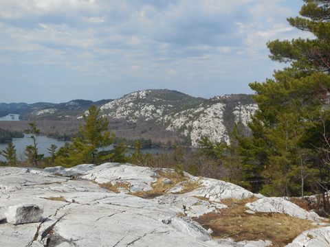 Photo from Friends of Killarney Spring Cleanup