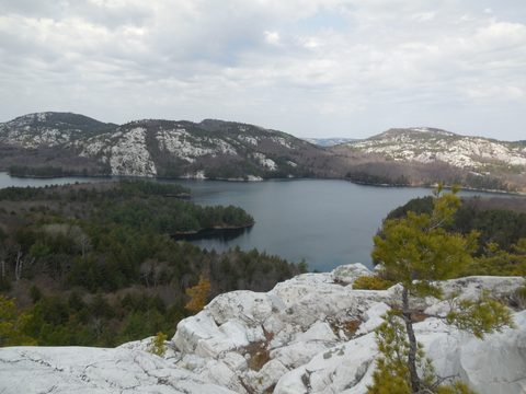 Photo from Friends of Killarney Spring Cleanup