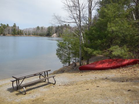 Photo from Friends of Killarney Spring Cleanup