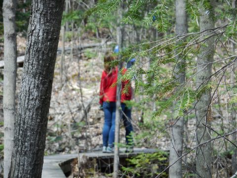 Photo from Friends of Killarney Spring Cleanup