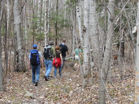 Photo from Friends of Killarney Spring Cleanup