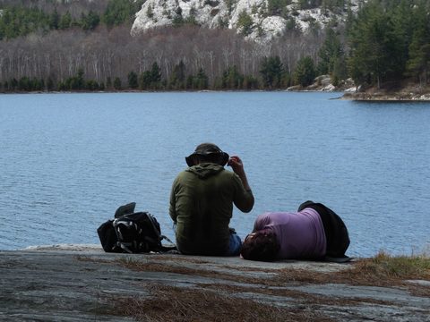 Photo from Friends of Killarney Spring Cleanup