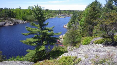 Photo from Kayaking, Key River to Georgian Bay