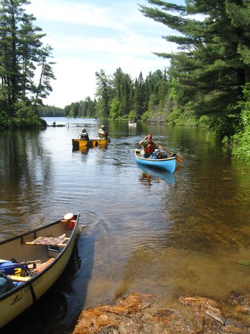 Photo from Canoeing, Algonquin Park, Tom Thomson Lake