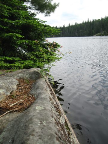 Photo from Canoeing, Algonquin Park, Tom Thomson Lake