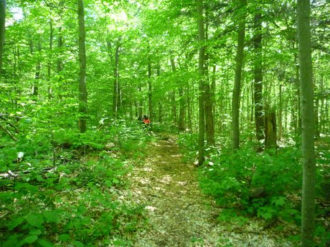 Photo from Introduction to backpacking - A first trip with Tim