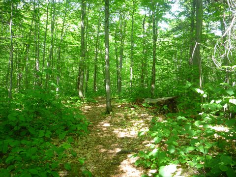 Photo from Introduction to backpacking - A first trip with Tim