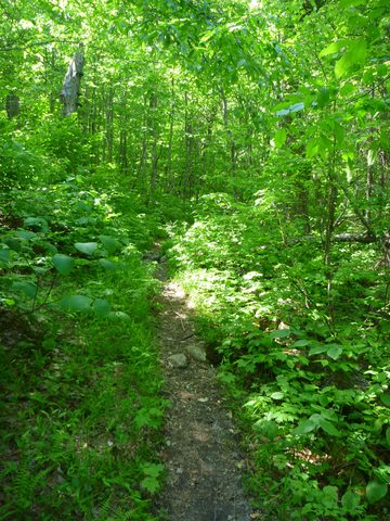 Photo from Introduction to backpacking - A first trip with Tim