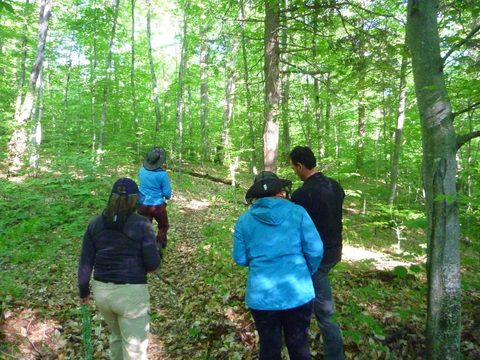 Photo from Introduction to backpacking - A first trip with Tim